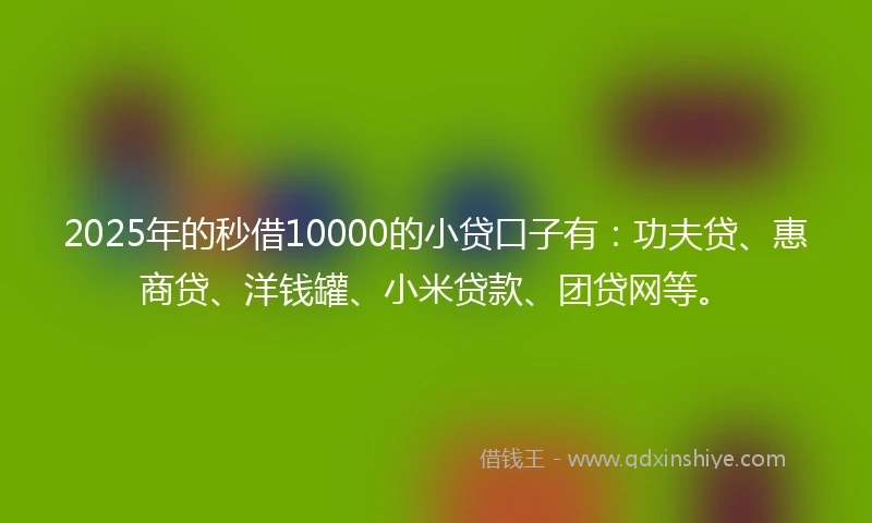 2025年的秒借10000的小贷口子有：功夫贷、惠商贷、洋钱罐、小米贷款、团贷网等。