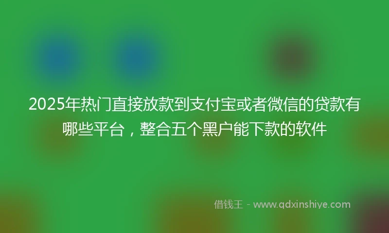 2025年热门直接放款到支付宝或者微信的贷款有哪些平台，整合五个黑户能下款的软件