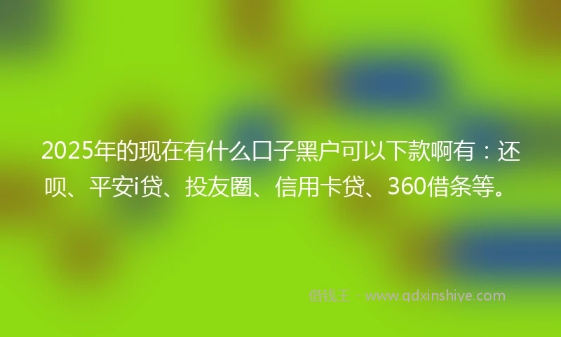 2025年的现在有什么口子黑户可以下款啊有：还呗、平安i贷、投友圈、信用卡贷、360借条等。
