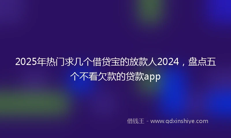 2025年热门求几个借贷宝的放款人2024，盘点五个不看欠款的贷款app