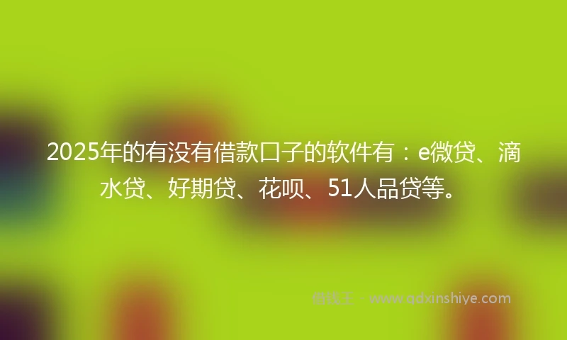 2025年的有没有借款口子的软件有：e微贷、滴水贷、好期贷、花呗、51人品贷等。