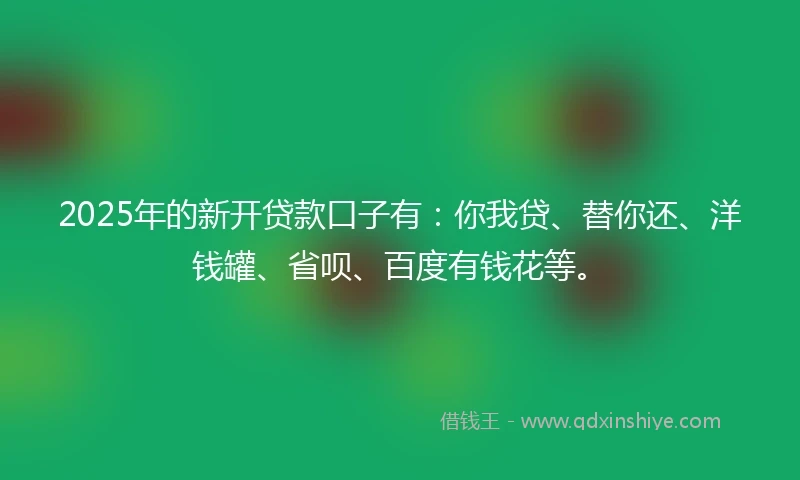 2025年的新开贷款口子有：你我贷、替你还、洋钱罐、省呗、百度有钱花等。