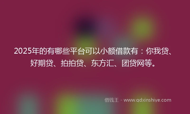 2025年的有哪些平台可以小额借款有：你我贷、好期贷、拍拍贷、东方汇、团贷网等。