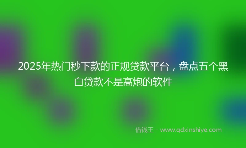 2025年热门秒下款的正规贷款平台，盘点五个黑白贷款不是高炮的软件