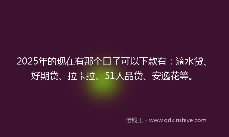 2025年的现在有那个口子可以下款有：滴水贷、好期贷、拉卡拉、51人品贷、安逸花等。