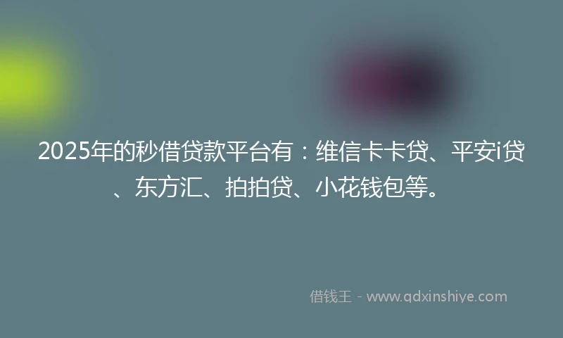 2025年的秒借贷款平台有：维信卡卡贷、平安i贷、东方汇、拍拍贷、小花钱包等。