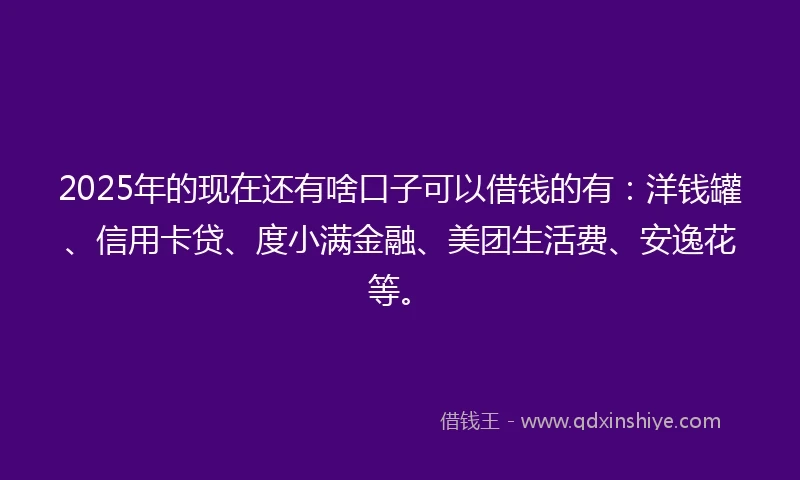 2025年的现在还有啥口子可以借钱的有：洋钱罐、信用卡贷、度小满金融、美团生活费、安逸花等。