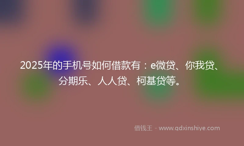 2025年的手机号如何借款有：e微贷、你我贷、分期乐、人人贷、柯基贷等。