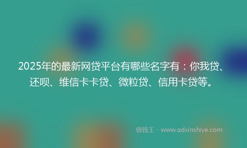 2025年的最新网贷平台有哪些名字有：你我贷、还呗、维信卡卡贷、微粒贷、信用卡贷等。