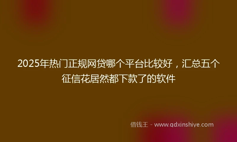 2025年热门正规网贷哪个平台比较好，汇总五个征信花居然都下款了的软件