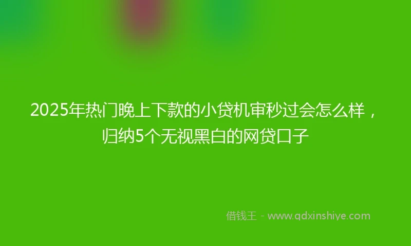 2025年热门晚上下款的小贷机审秒过会怎么样，归纳5个无视黑白的网贷口子