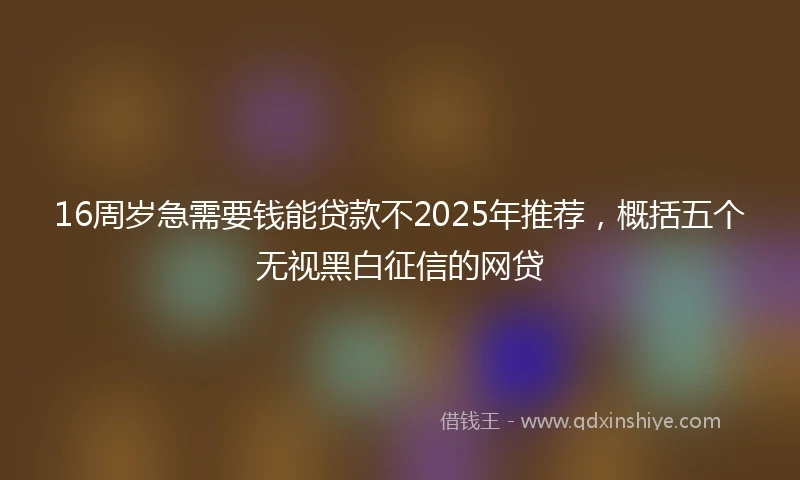16周岁急需要钱能贷款不2025年推荐，概括五个无视黑白征信的网贷