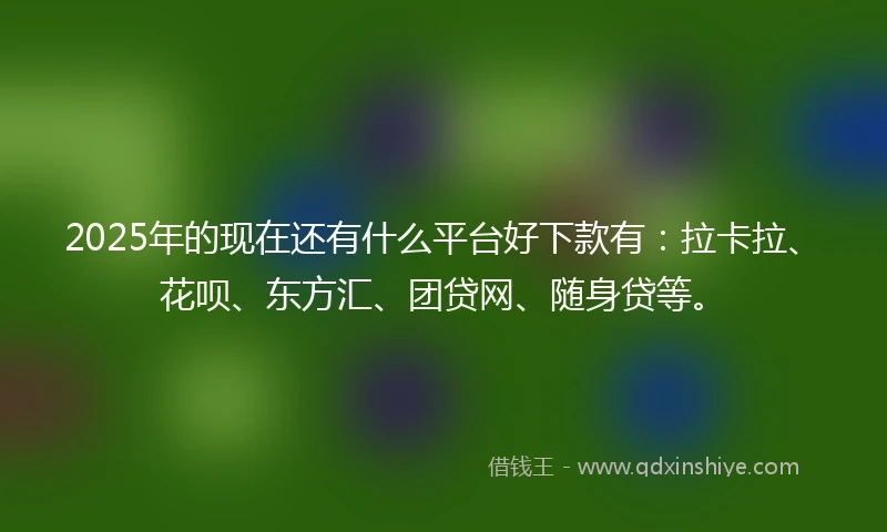 2025年的现在还有什么平台好下款有：拉卡拉、花呗、东方汇、团贷网、随身贷等。