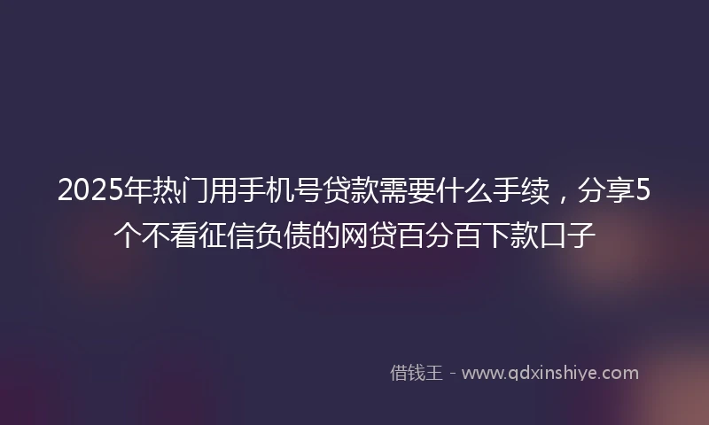 2025年热门用手机号贷款需要什么手续，分享5个不看征信负债的网贷百分百下款口子