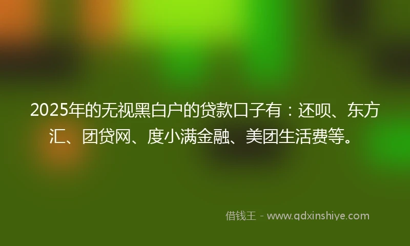 2025年的无视黑白户的贷款口子有：还呗、东方汇、团贷网、度小满金融、美团生活费等。