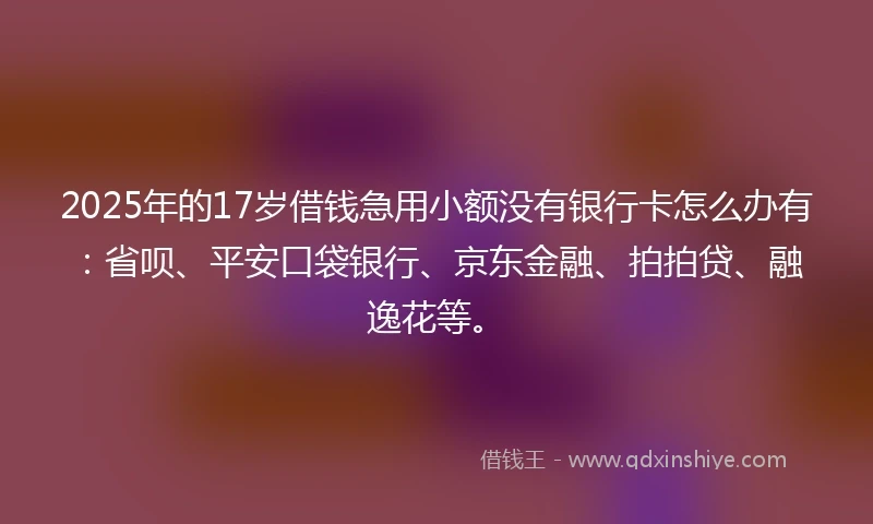 2025年的17岁借钱急用小额没有银行卡怎么办有：省呗、平安口袋银行、京东金融、拍拍贷、融逸花等。