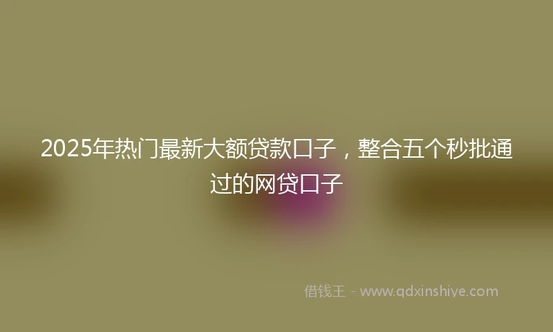 2025年热门最新大额贷款口子，整合五个秒批通过的网贷口子