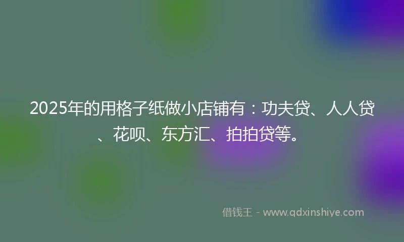 2025年的用格子纸做小店铺有：功夫贷、人人贷、花呗、东方汇、拍拍贷等。