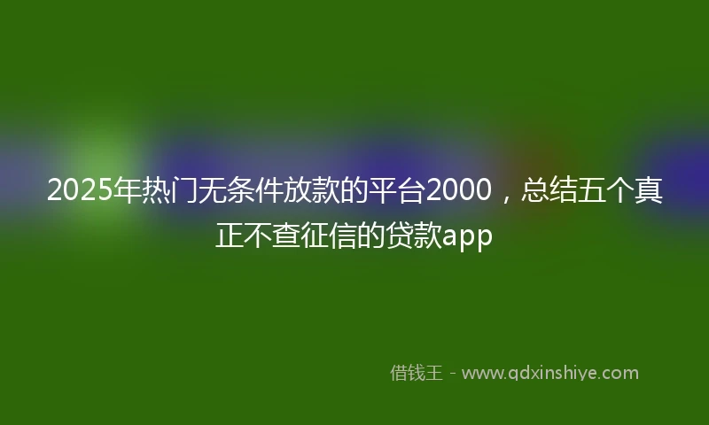 2025年热门无条件放款的平台2000，总结五个真正不查征信的贷款app