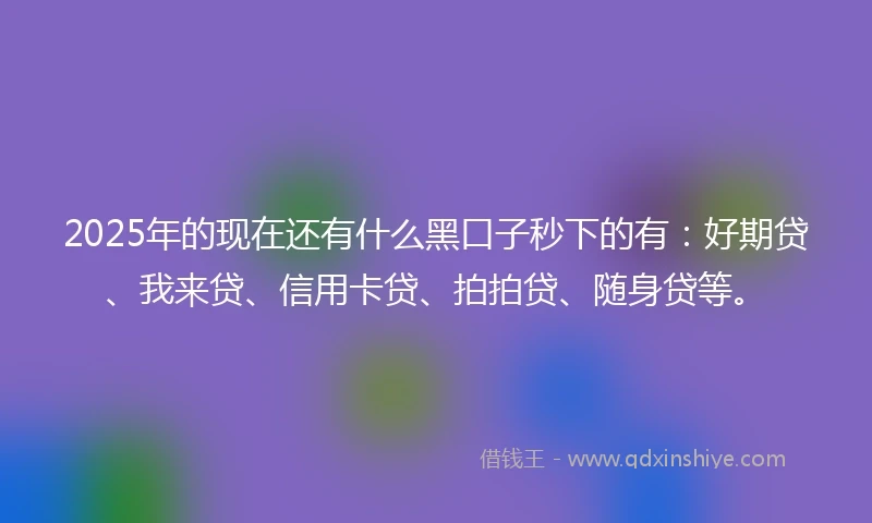 2025年的现在还有什么黑口子秒下的有：好期贷、我来贷、信用卡贷、拍拍贷、随身贷等。