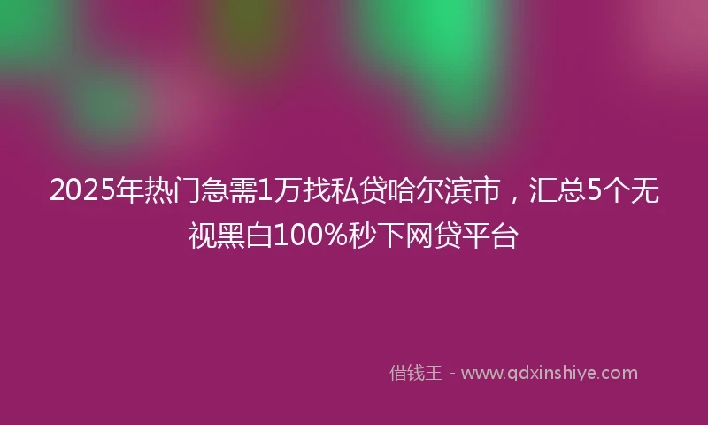 2025年热门急需1万找私贷哈尔滨市，汇总5个无视黑白100%秒下网贷平台