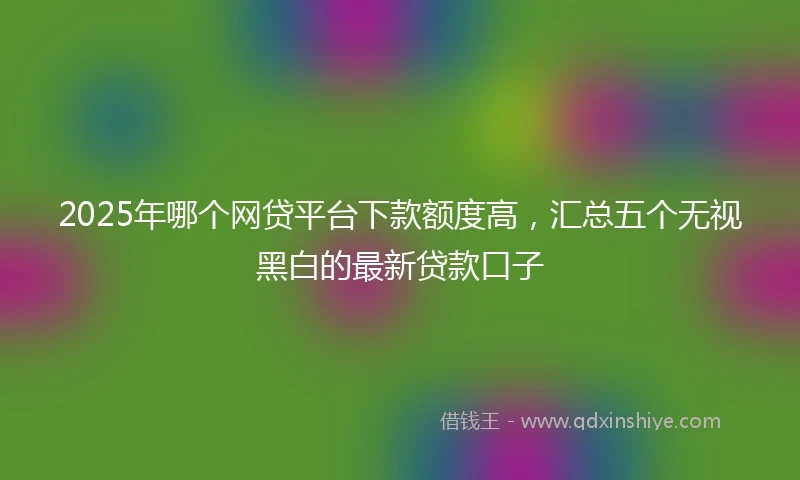 2025年哪个网贷平台下款额度高，汇总五个无视黑白的最新贷款口子