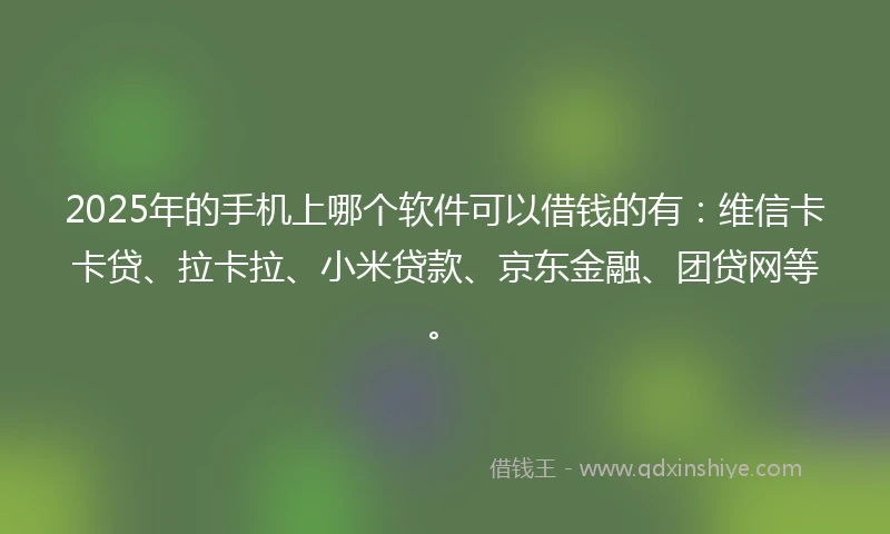 2025年的手机上哪个软件可以借钱的有：维信卡卡贷、拉卡拉、小米贷款、京东金融、团贷网等。
