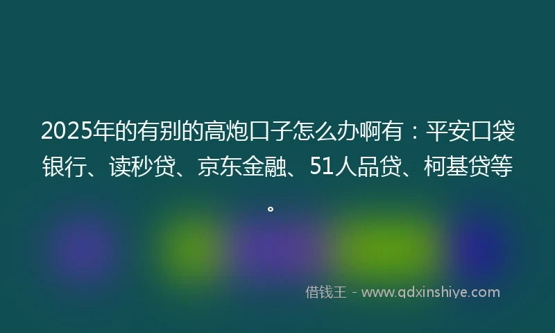 2025年的有别的高炮口子怎么办啊有：平安口袋银行、读秒贷、京东金融、51人品贷、柯基贷等。