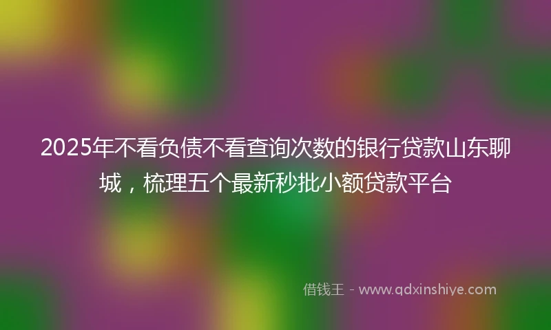 2025年不看负债不看查询次数的银行贷款山东聊城，梳理五个最新秒批小额贷款平台