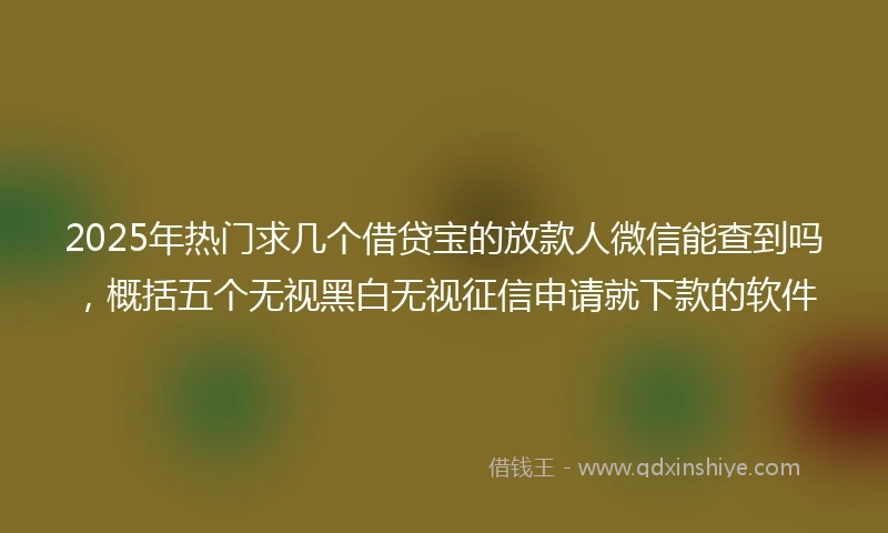 2025年热门求几个借贷宝的放款人微信能查到吗，概括五个无视黑白无视征信申请就下款的软件