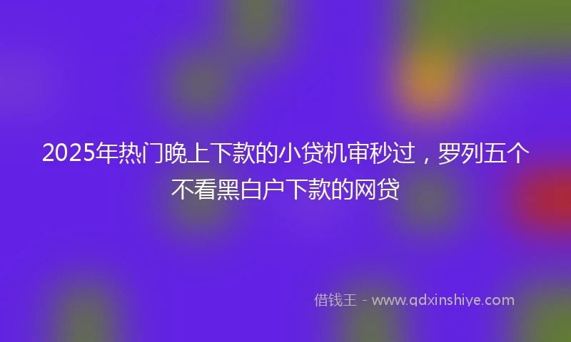 2025年热门晚上下款的小贷机审秒过，罗列五个不看黑白户下款的网贷
