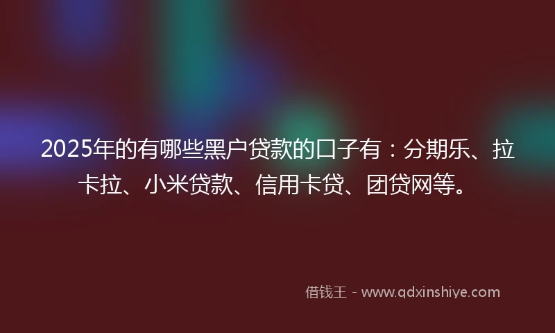 2025年的有哪些黑户贷款的口子有：分期乐、拉卡拉、小米贷款、信用卡贷、团贷网等。
