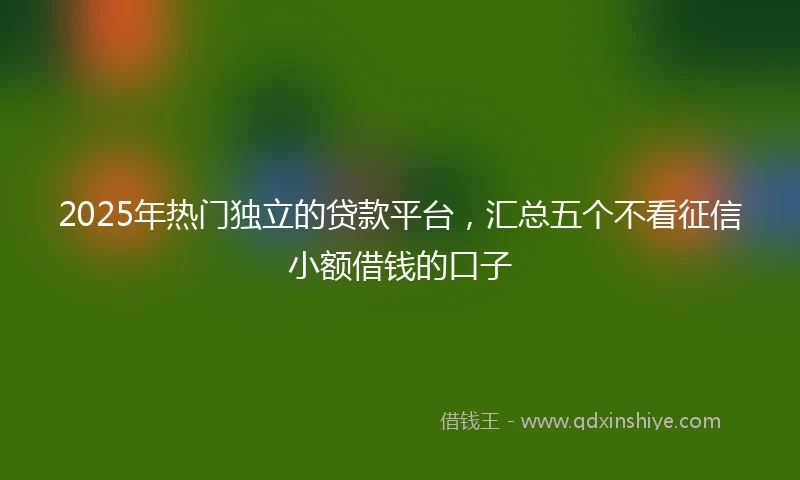 2025年热门独立的贷款平台，汇总五个不看征信小额借钱的口子