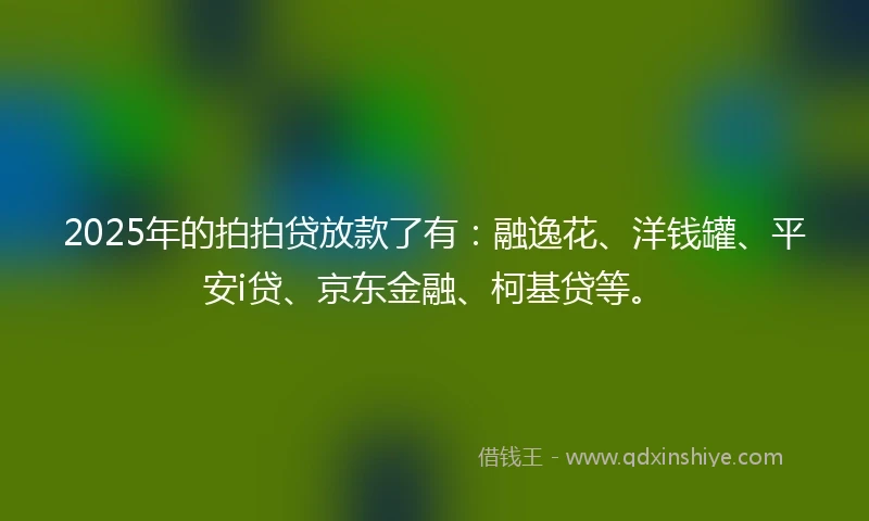 2025年的拍拍贷放款了有：融逸花、洋钱罐、平安i贷、京东金融、柯基贷等。