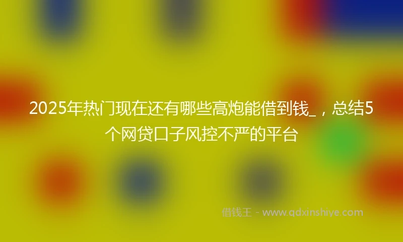 2025年热门现在还有哪些高炮能借到钱_，总结5个网贷口子风控不严的平台
