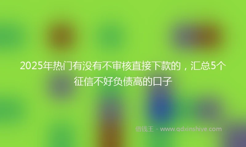 2025年热门有没有不审核直接下款的，汇总5个征信不好负债高的口子
