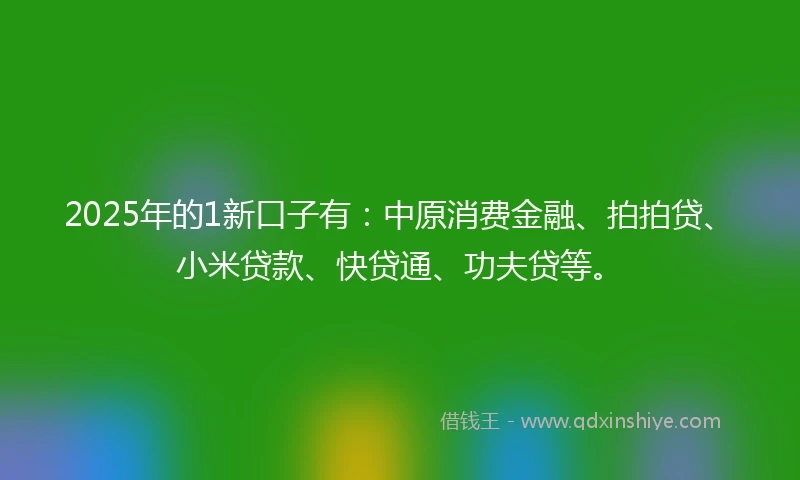 2025年的1新口子有：中原消费金融、拍拍贷、小米贷款、快贷通、功夫贷等。