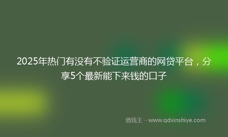 2025年热门有没有不验证运营商的网贷平台，分享5个最新能下来钱的口子