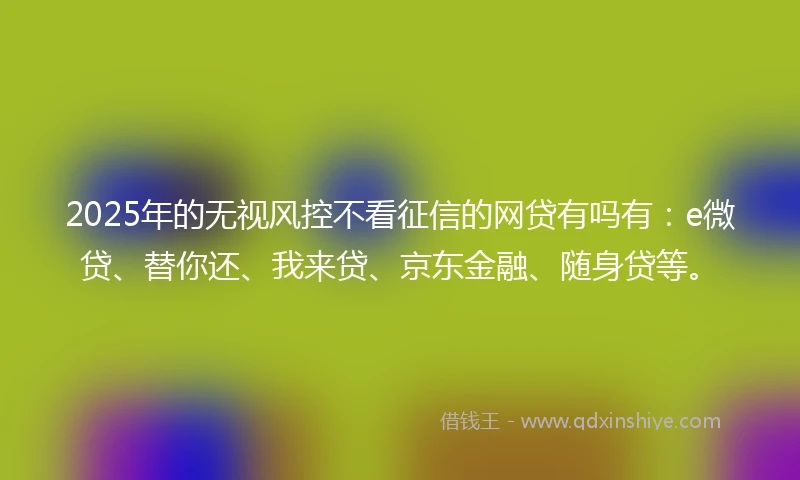 2025年的无视风控不看征信的网贷有吗有：e微贷、替你还、我来贷、京东金融、随身贷等。