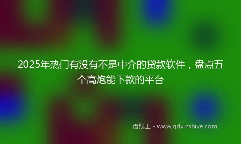2025年热门有没有不是中介的贷款软件，盘点五个高炮能下款的平台