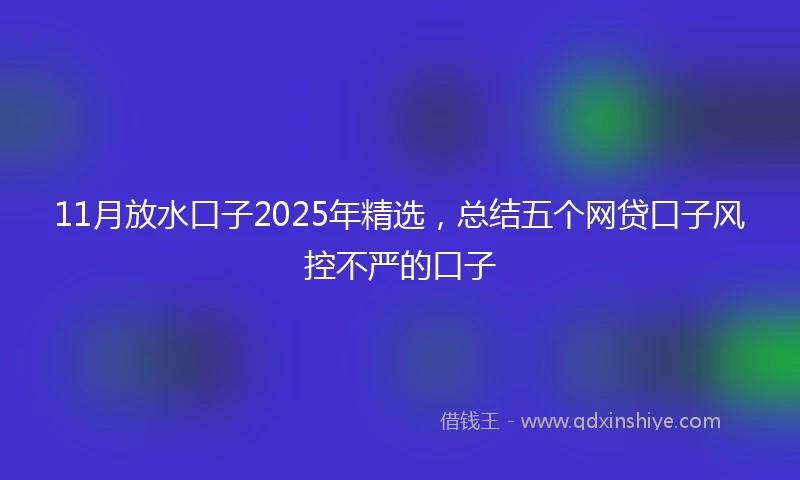11月放水口子2025年精选，总结五个网贷口子风控不严的口子