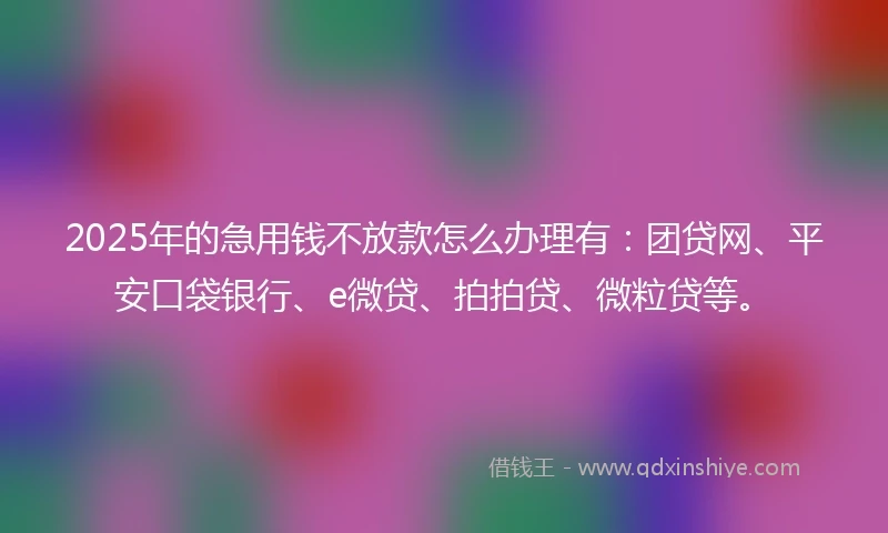 2025年的急用钱不放款怎么办理有：团贷网、平安口袋银行、e微贷、拍拍贷、微粒贷等。