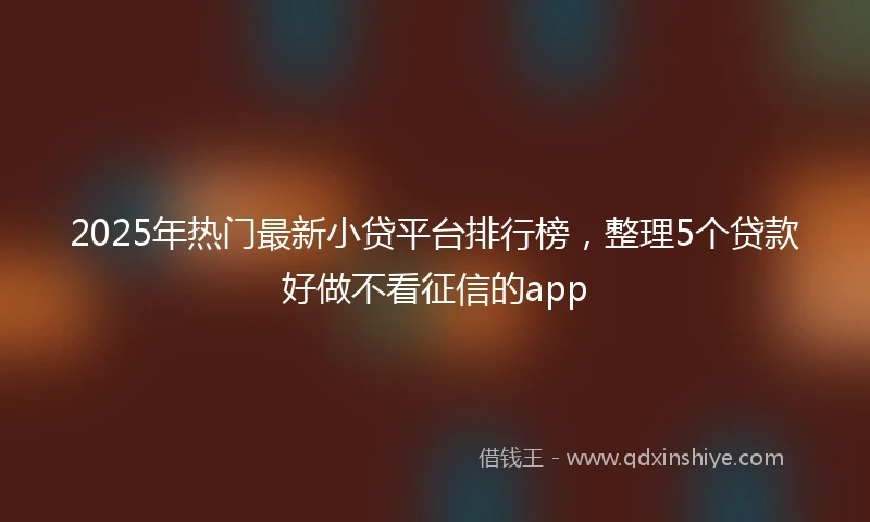 2025年热门最新小贷平台排行榜，整理5个贷款好做不看征信的app