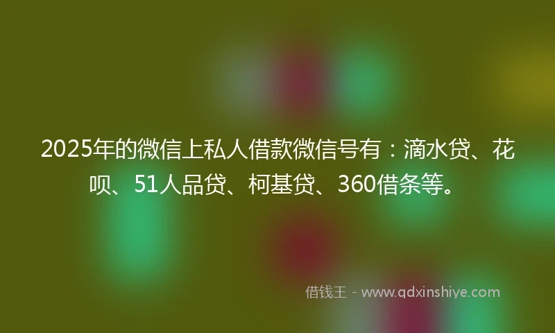 2025年的微信上私人借款微信号有：滴水贷、花呗、51人品贷、柯基贷、360借条等。