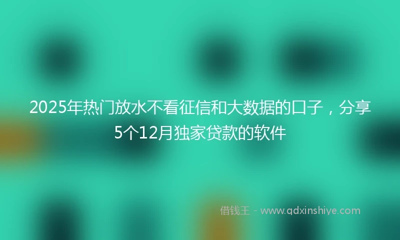 2025年热门放水不看征信和大数据的口子，分享5个12月独家贷款的软件