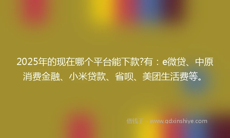 2025年的现在哪个平台能下款?有:e微贷、中原消费金融、小米贷款、省呗、美团生活费等。