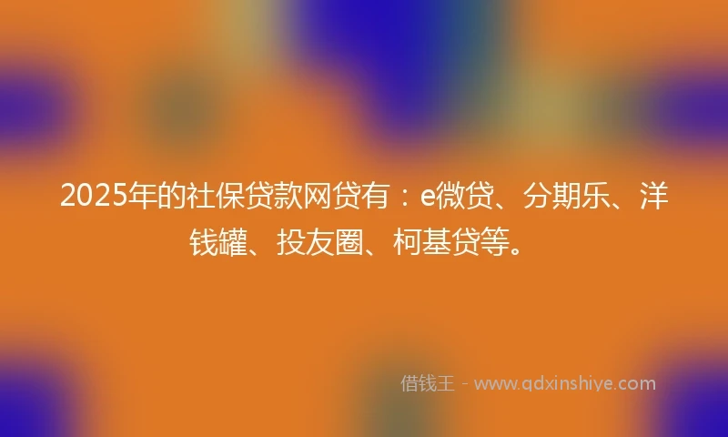 2025年的社保贷款网贷有：e微贷、分期乐、洋钱罐、投友圈、柯基贷等。