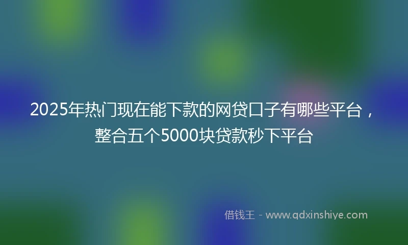 2025年热门现在能下款的网贷口子有哪些平台，整合五个5000块贷款秒下平台