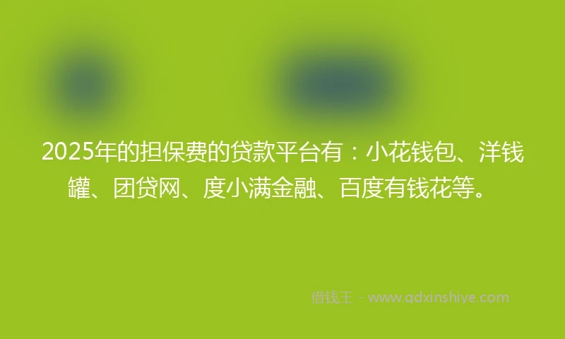 2025年的担保费的贷款平台有：小花钱包、洋钱罐、团贷网、度小满金融、百度有钱花等。