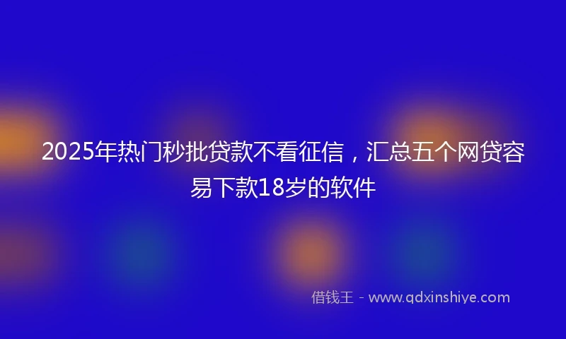 2025年热门秒批贷款不看征信，汇总五个网贷容易下款18岁的软件